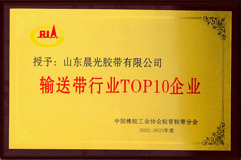2023年輸送帶行業十強企業